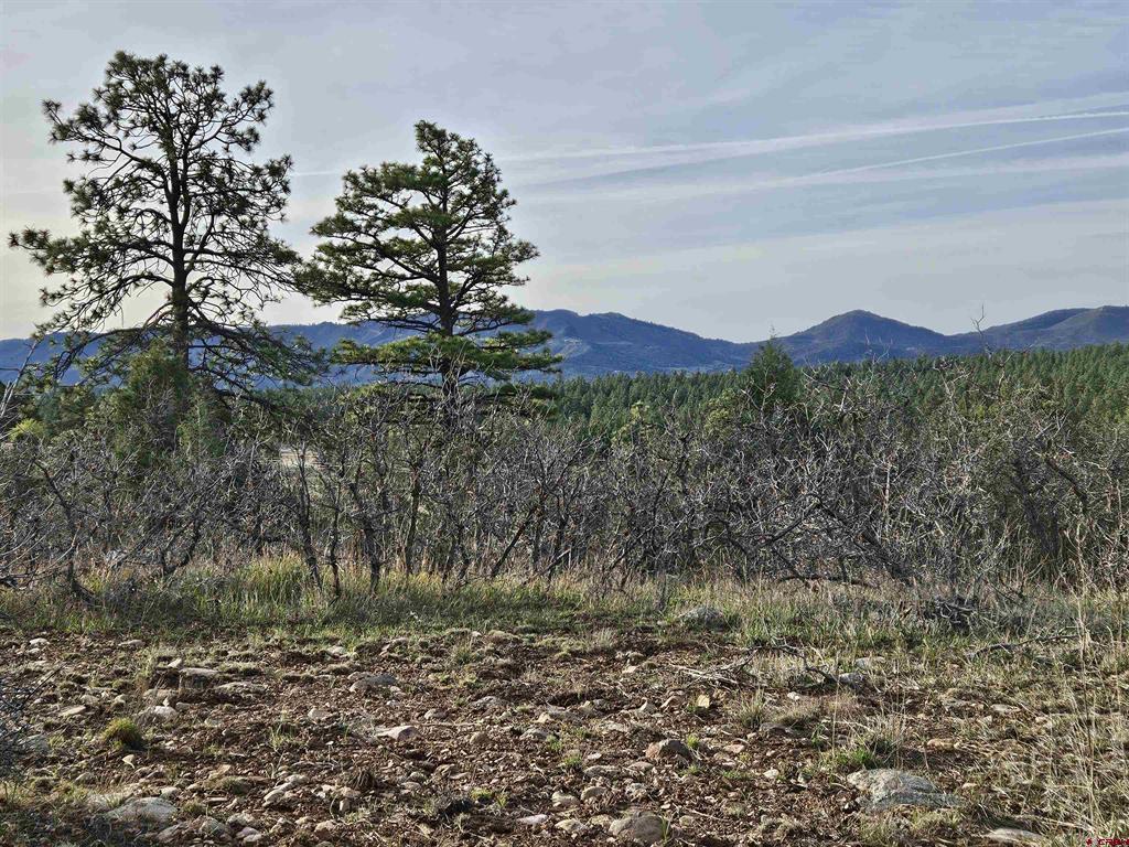 1963 County Road 125 Hesperus CO 81326