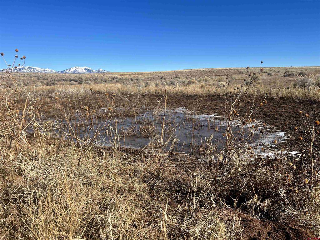 000 Akati Gulch Road Hesperus CO 81326