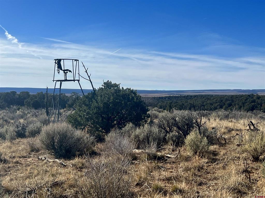 000 Akati Gulch Road Hesperus CO 81326