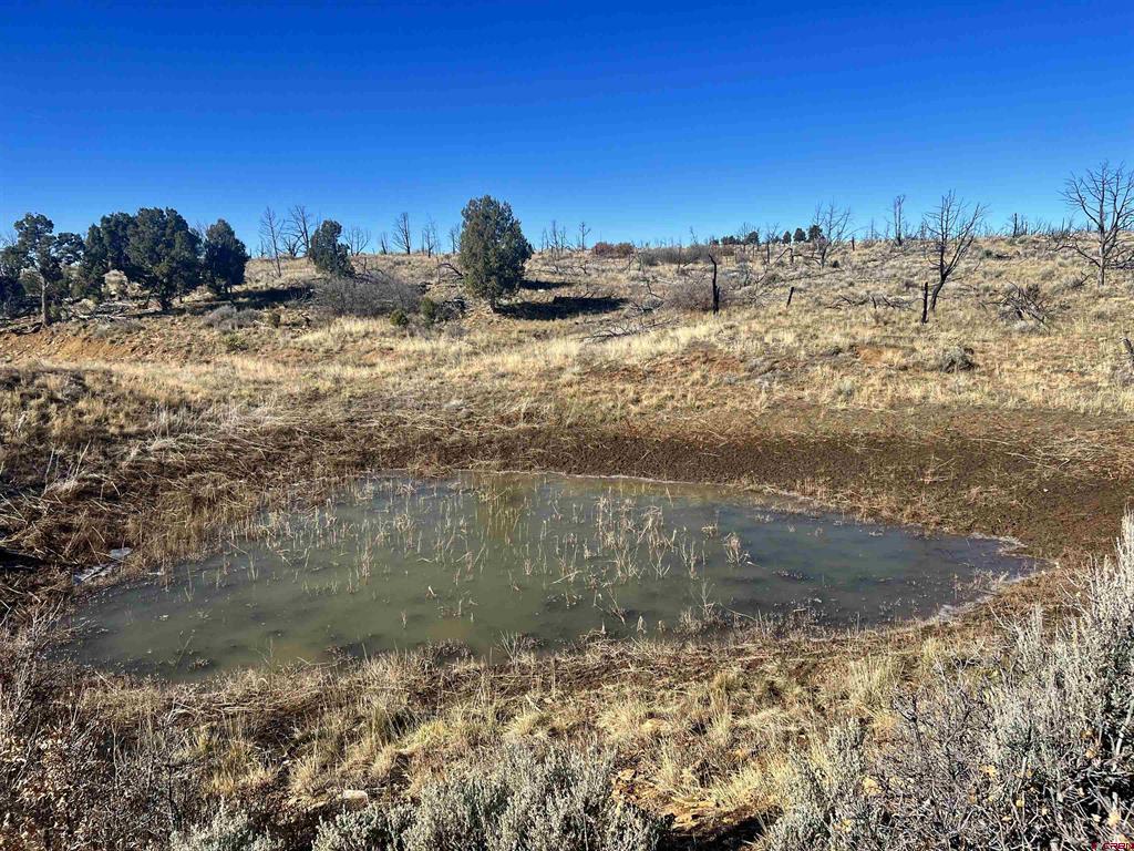 000 Akati Gulch Road Hesperus CO 81326