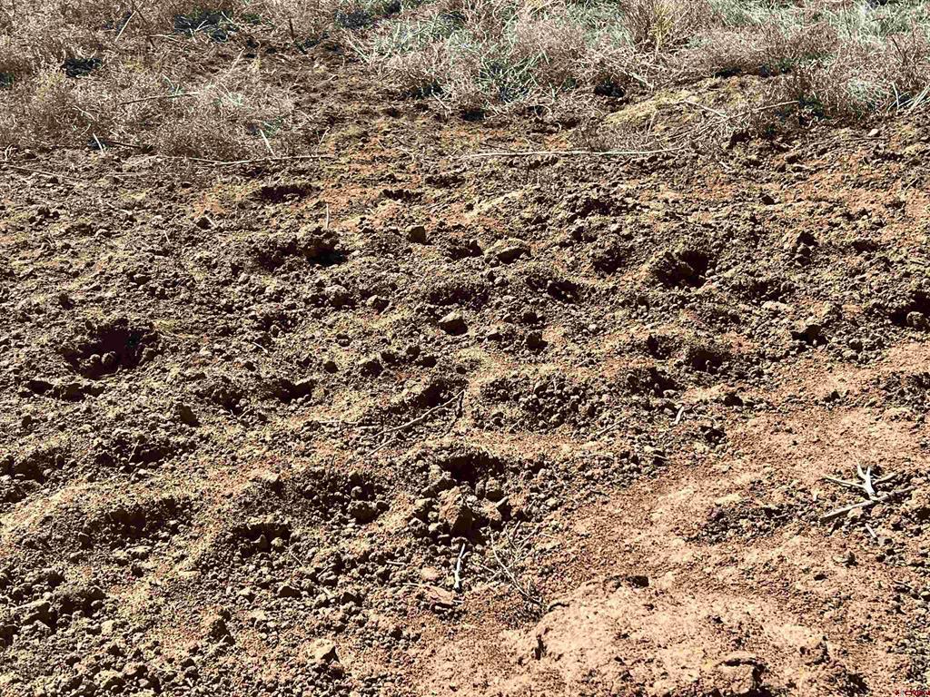 000 Akati Gulch Road Hesperus CO 81326