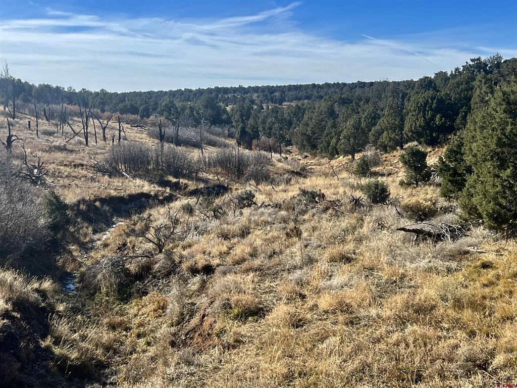 000 Akati Gulch Road Hesperus CO 81326
