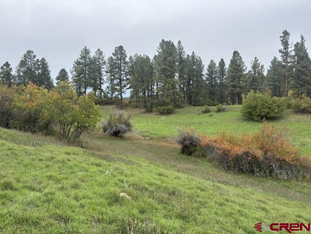 182 Little Bear Drive Bayfield CO 81122