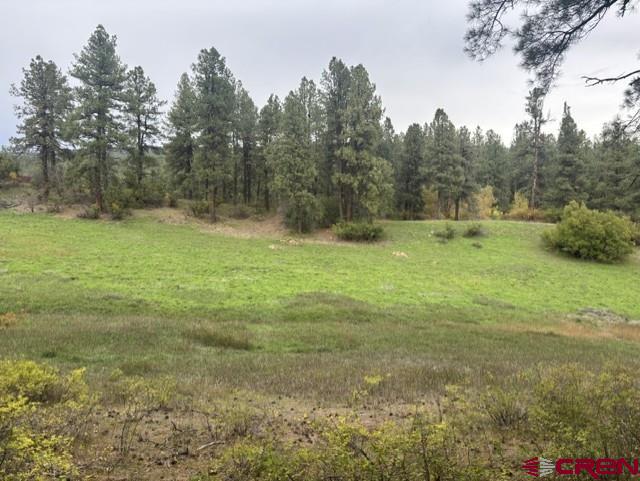 182 Little Bear Drive Bayfield CO 81122