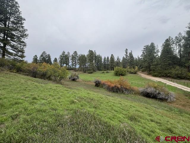 182 Little Bear Drive Bayfield CO 81122