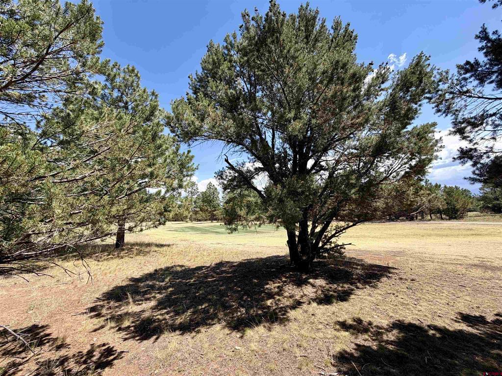 1761 (lot-V321) Marmot Drive Ridgway CO 81432