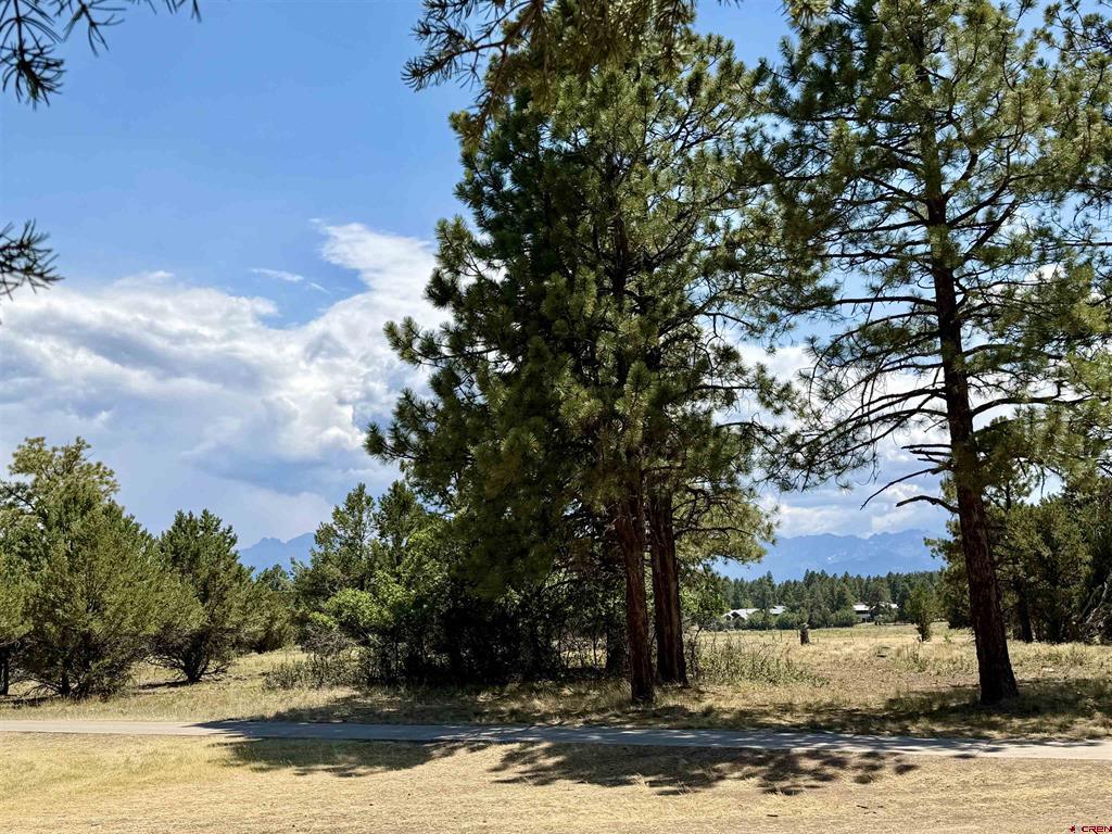 1761 (lot-V321) Marmot Drive Ridgway CO 81432