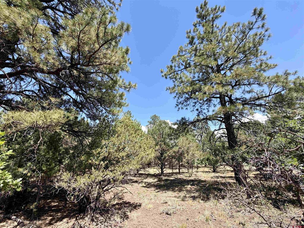 1761 (lot-V321) Marmot Drive Ridgway CO 81432