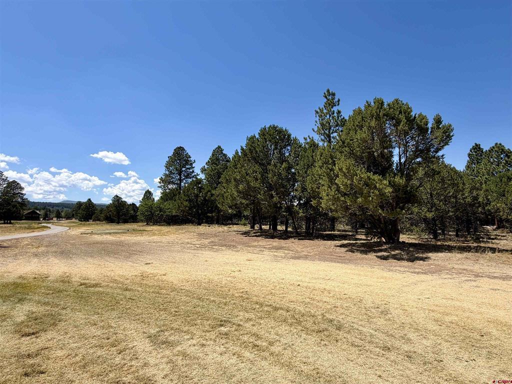 1761 (lot-V321) Marmot Drive Ridgway CO 81432