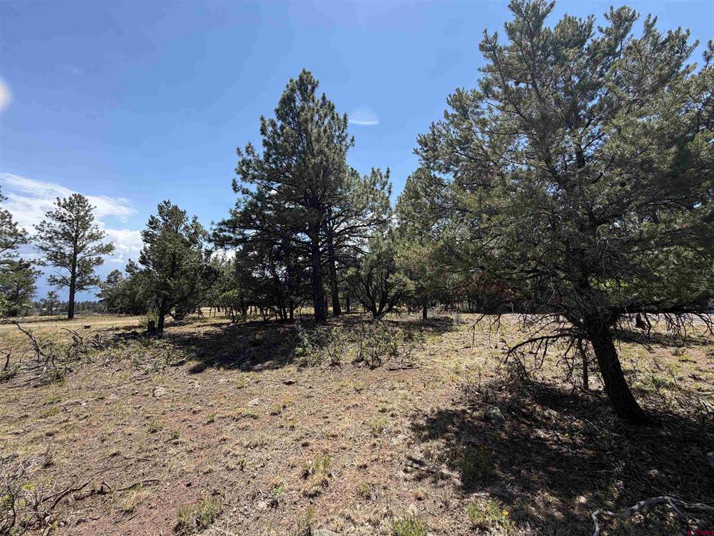 1761 (lot-V321) Marmot Drive Ridgway CO 81432