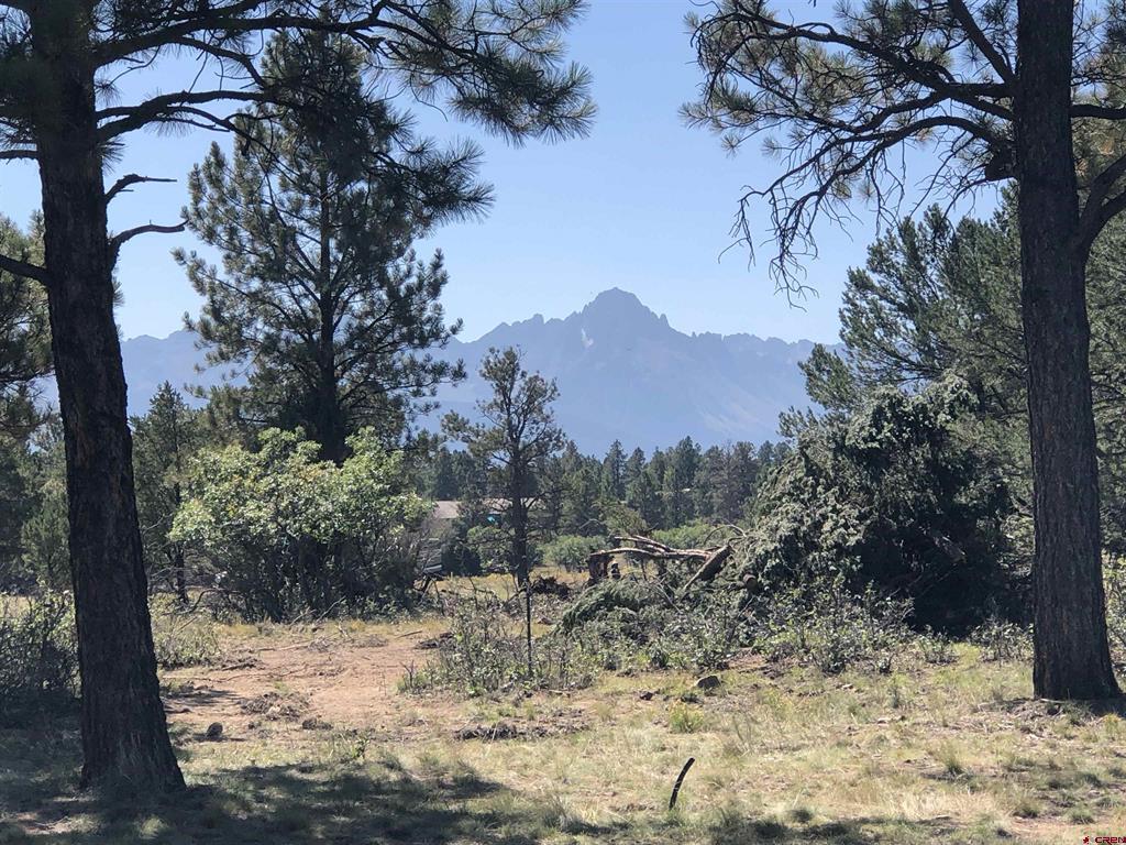1761 (lot-V321) Marmot Drive Ridgway CO 81432