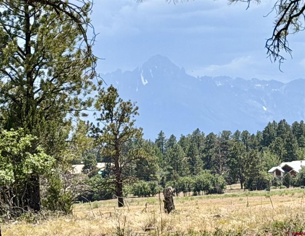 1761 (lot-V321) Marmot Drive Ridgway CO 81432