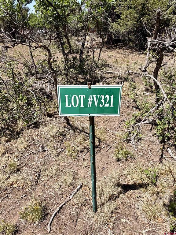 1761 (lot-V321) Marmot Drive Ridgway CO 81432