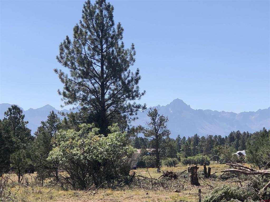 1761 (lot-V321) Marmot Drive Ridgway CO 81432