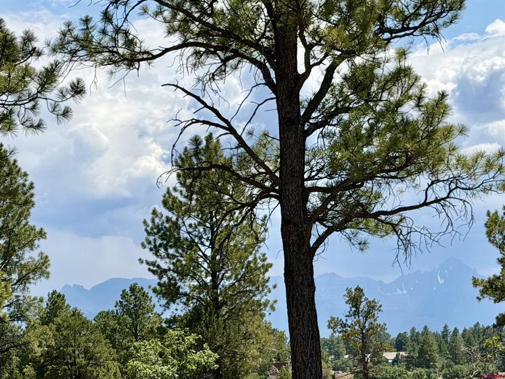 1761 (lot-V321) Marmot Drive Ridgway CO 81432