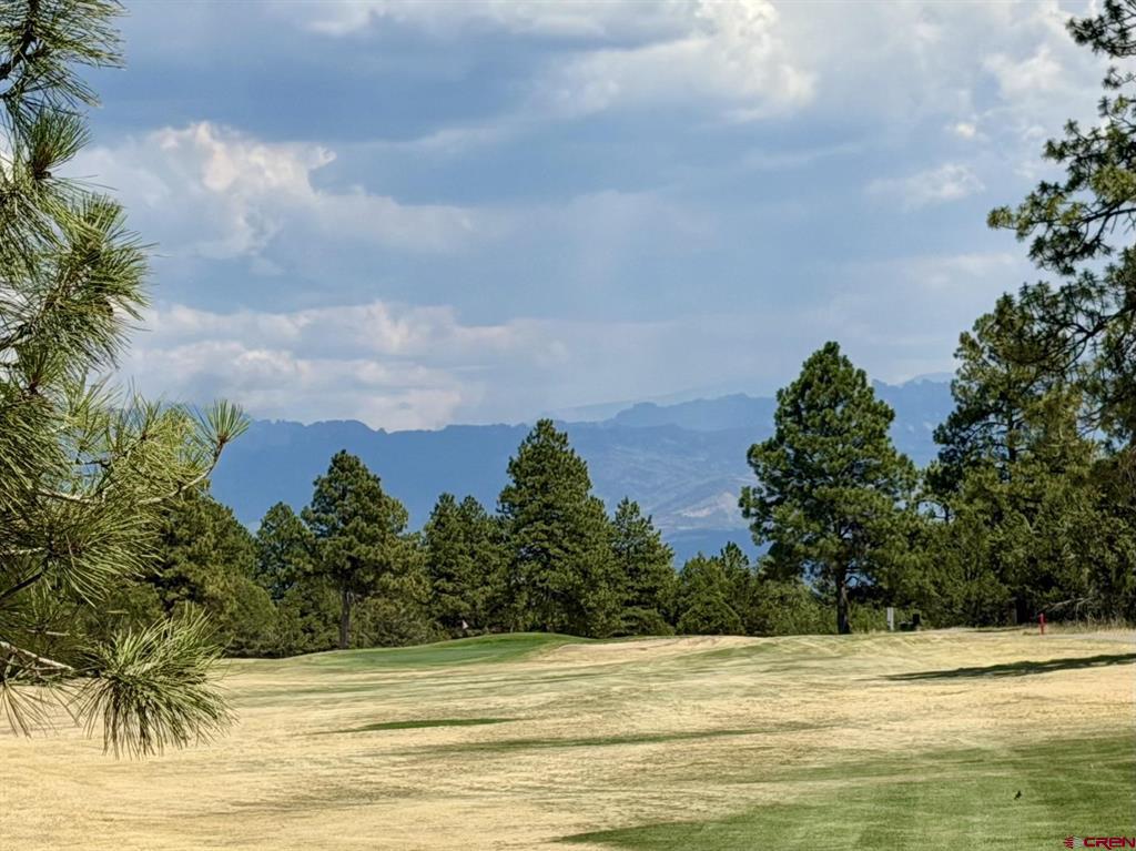 1761 (lot-V321) Marmot Drive Ridgway CO 81432