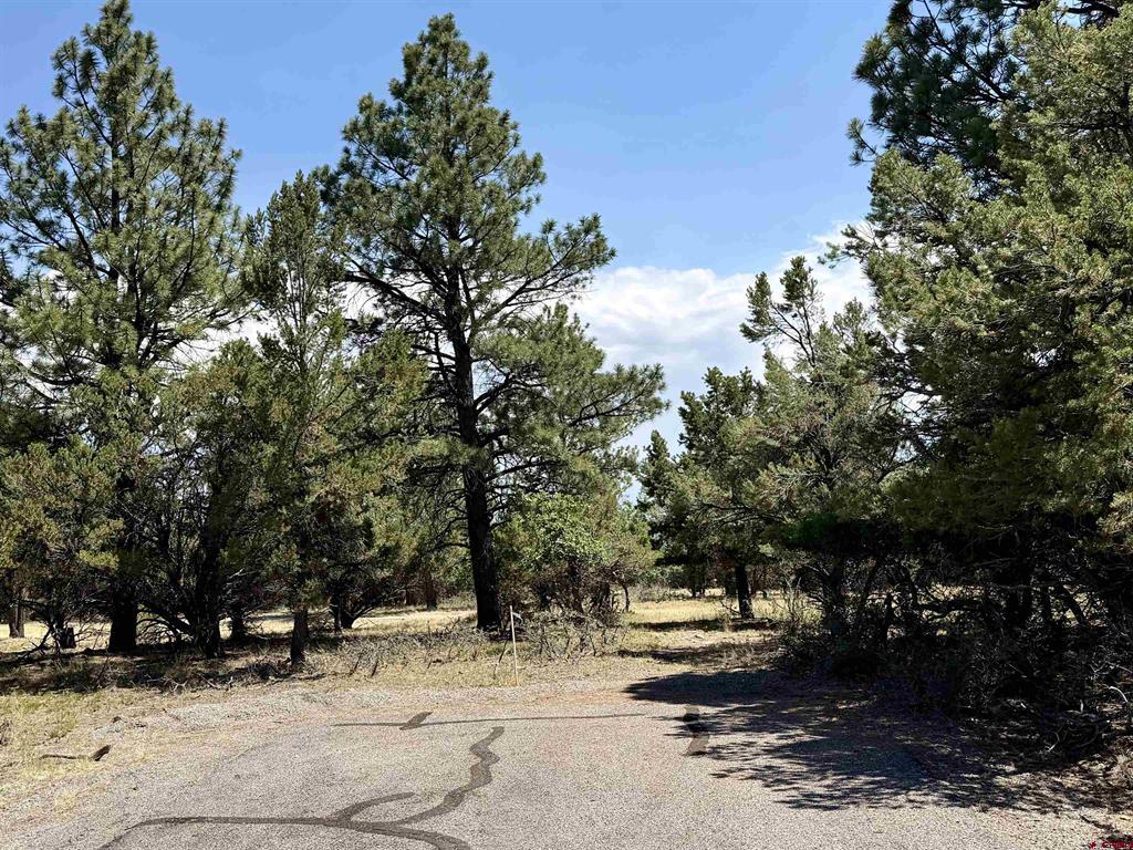 1761 (lot-V321) Marmot Drive Ridgway CO 81432