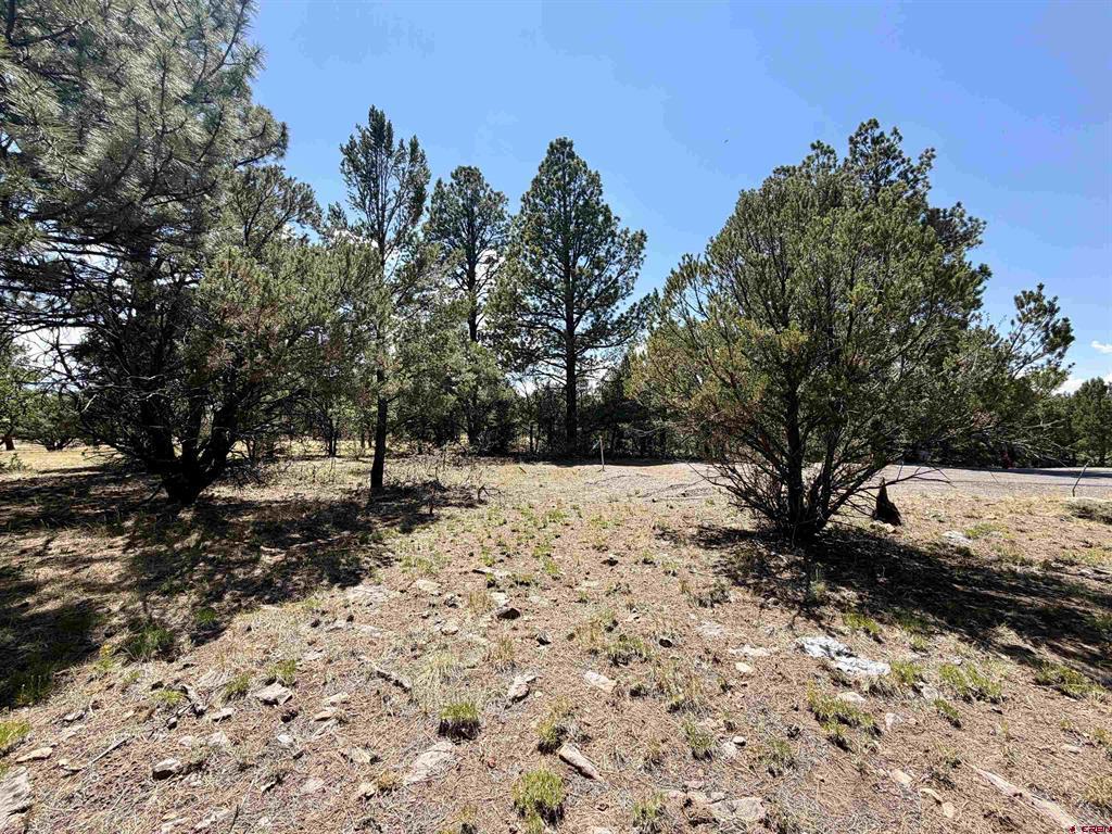 1761 (lot-V321) Marmot Drive Ridgway CO 81432