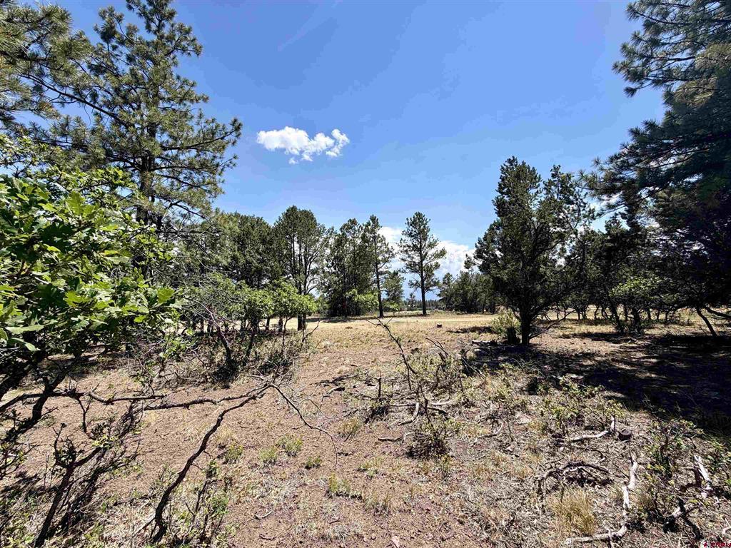 1761 (lot-V321) Marmot Drive Ridgway CO 81432