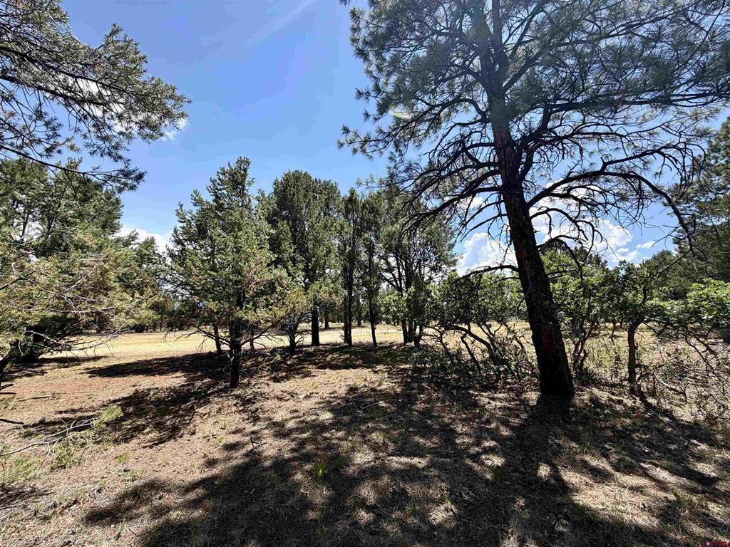 1761 (lot-V321) Marmot Drive Ridgway CO 81432