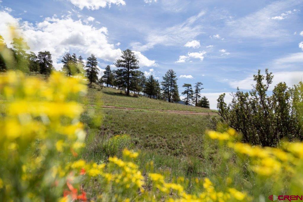 730 Cliff View Drive Creede CO 81130