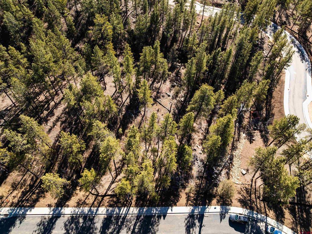 46 Avalanche Lily Drive (Lot 131) Durango CO 81301