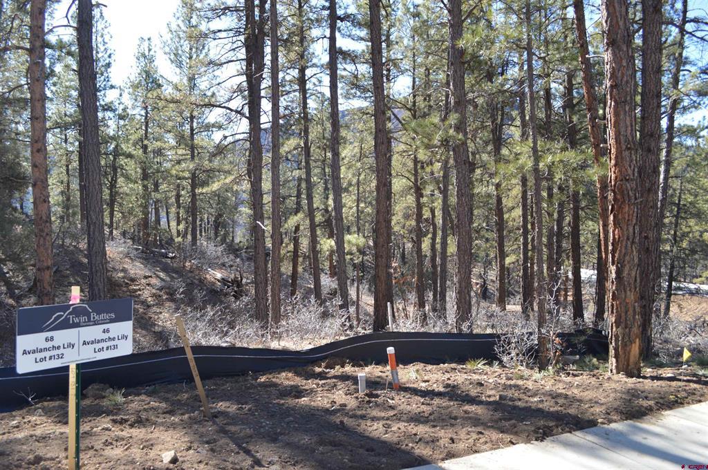 46 Avalanche Lily Drive (Lot 131) Durango CO 81301
