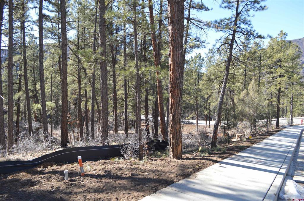 46 Avalanche Lily Drive (Lot 131) Durango CO 81301