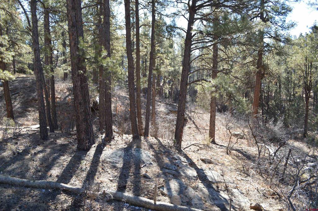46 Avalanche Lily Drive (Lot 131) Durango CO 81301