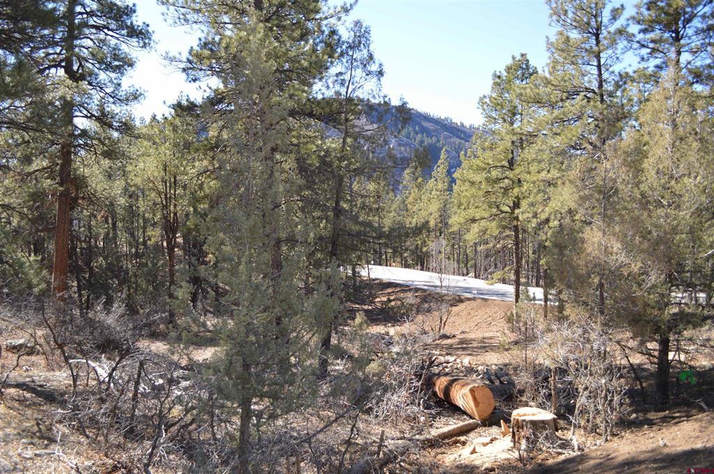 46 Avalanche Lily Drive (Lot 131) Durango CO 81301