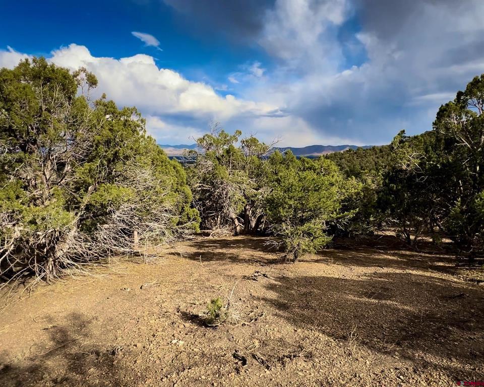 Tbd Road 35 Mancos CO 81328