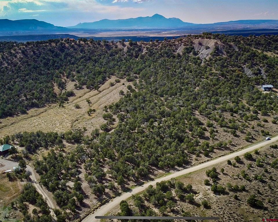 Tbd Road 35 Mancos CO 81328