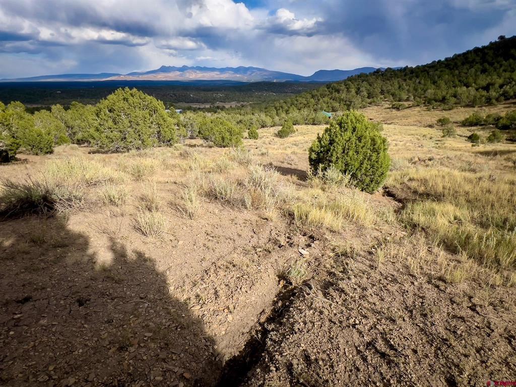 Tbd Road 35 Mancos CO 81328