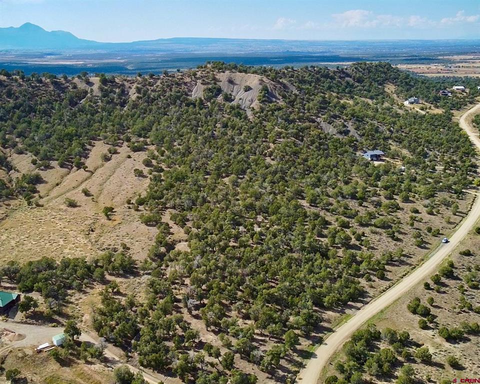 Tbd Road 35 Mancos CO 81328