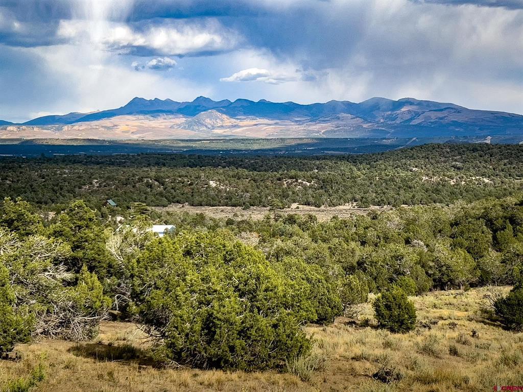 Tbd Road 35 Mancos CO 81328