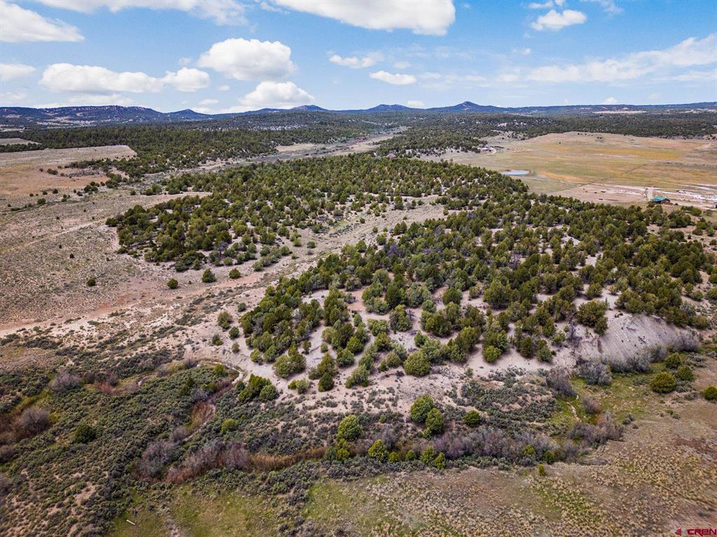 38550 Road J.5 Mancos CO 81328