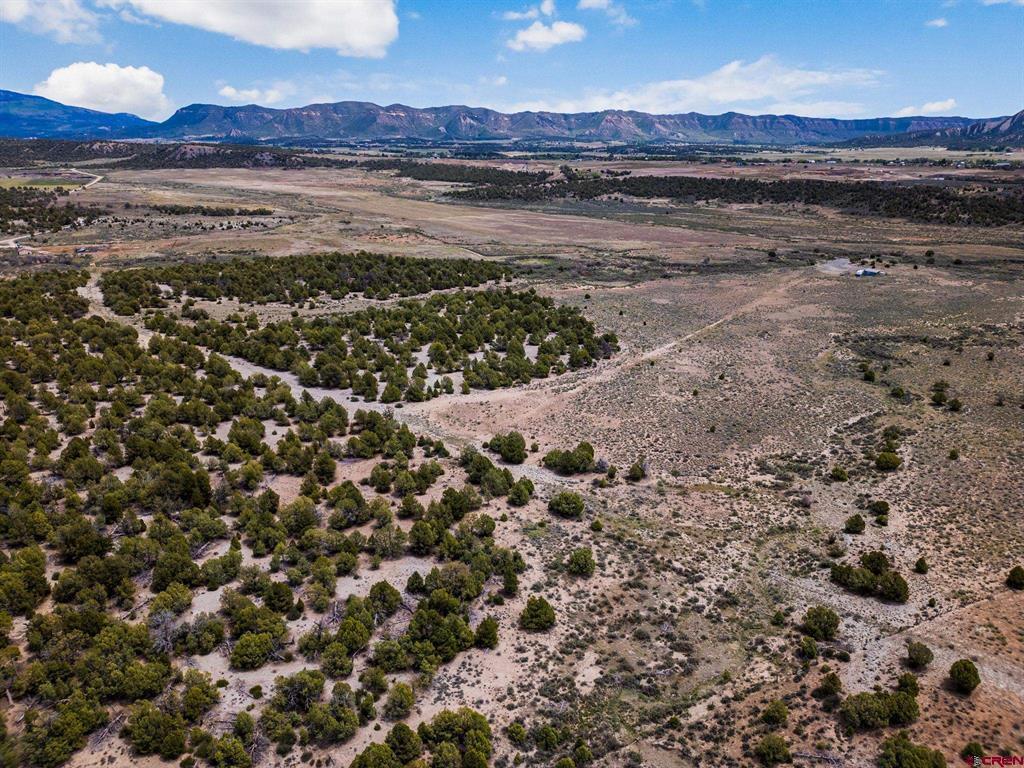 38550 Road J.5 Mancos CO 81328