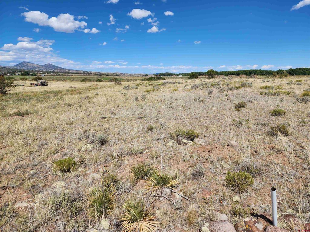 197 Pink Cloud Road South Fork CO 81154