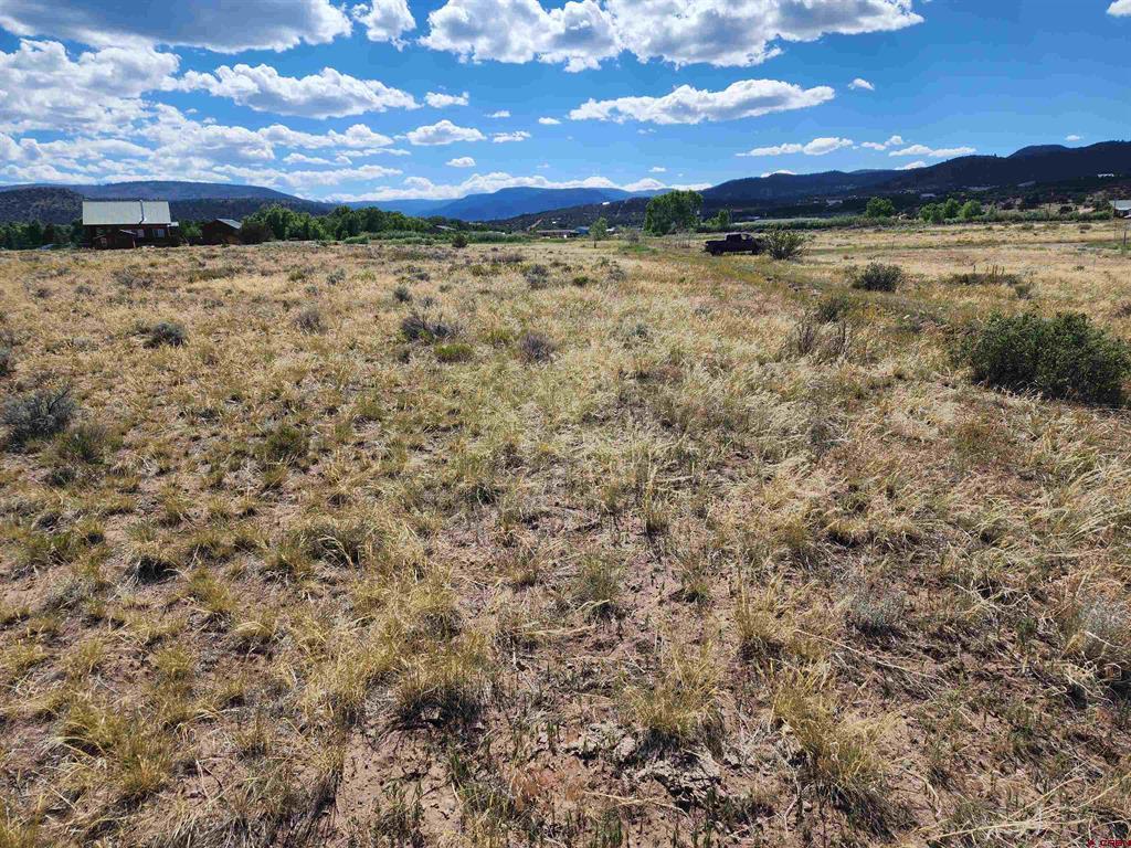 197 Pink Cloud Road South Fork CO 81154
