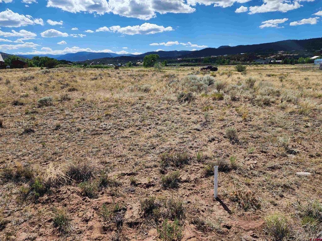 197 Pink Cloud Road South Fork CO 81154
