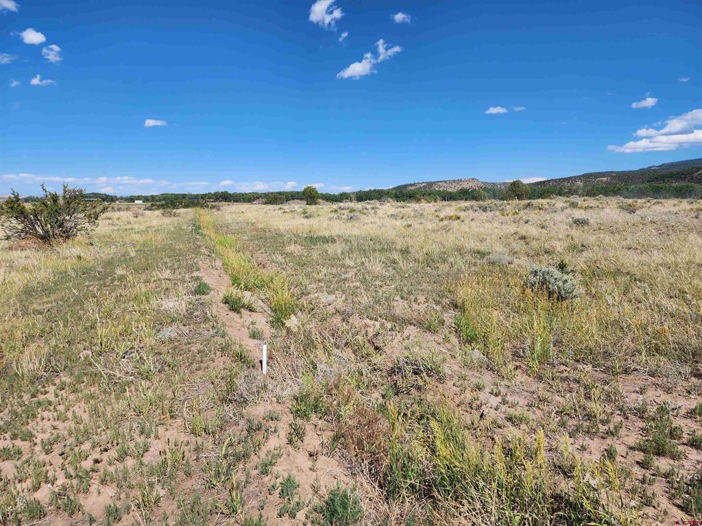 197 Pink Cloud Road South Fork CO 81154