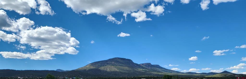 197 Pink Cloud Road South Fork CO 81154