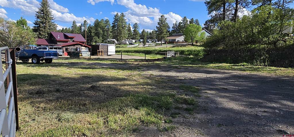 46 Goldmine Drive Pagosa Springs CO 81147
