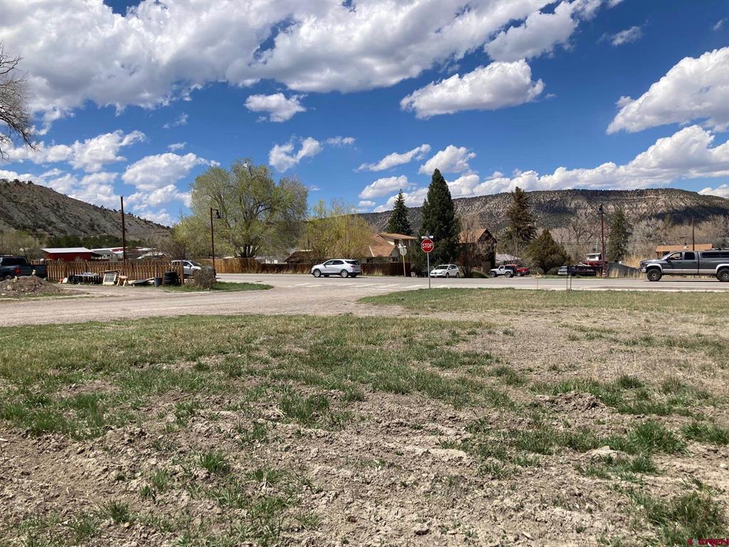 134 S Charlotte Street Ridgway CO 81432