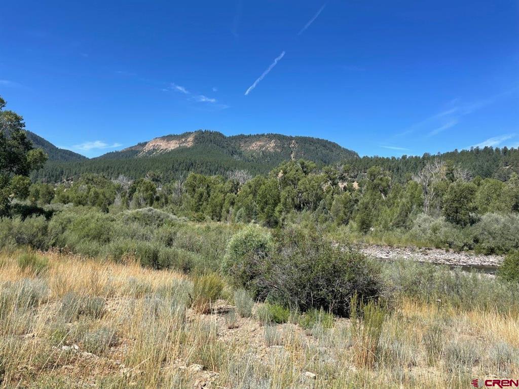 9178A Cr 500 Pagosa Springs CO 81147