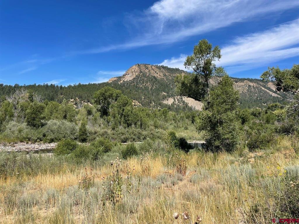 9178A Cr 500 Pagosa Springs CO 81147