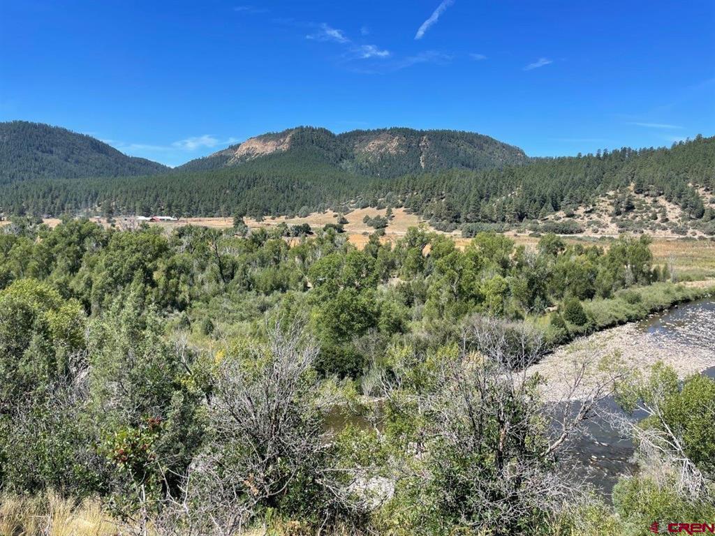 9178A Cr 500 Pagosa Springs CO 81147
