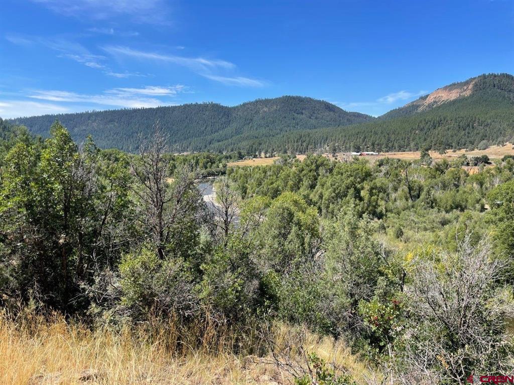 9178A Cr 500 Pagosa Springs CO 81147