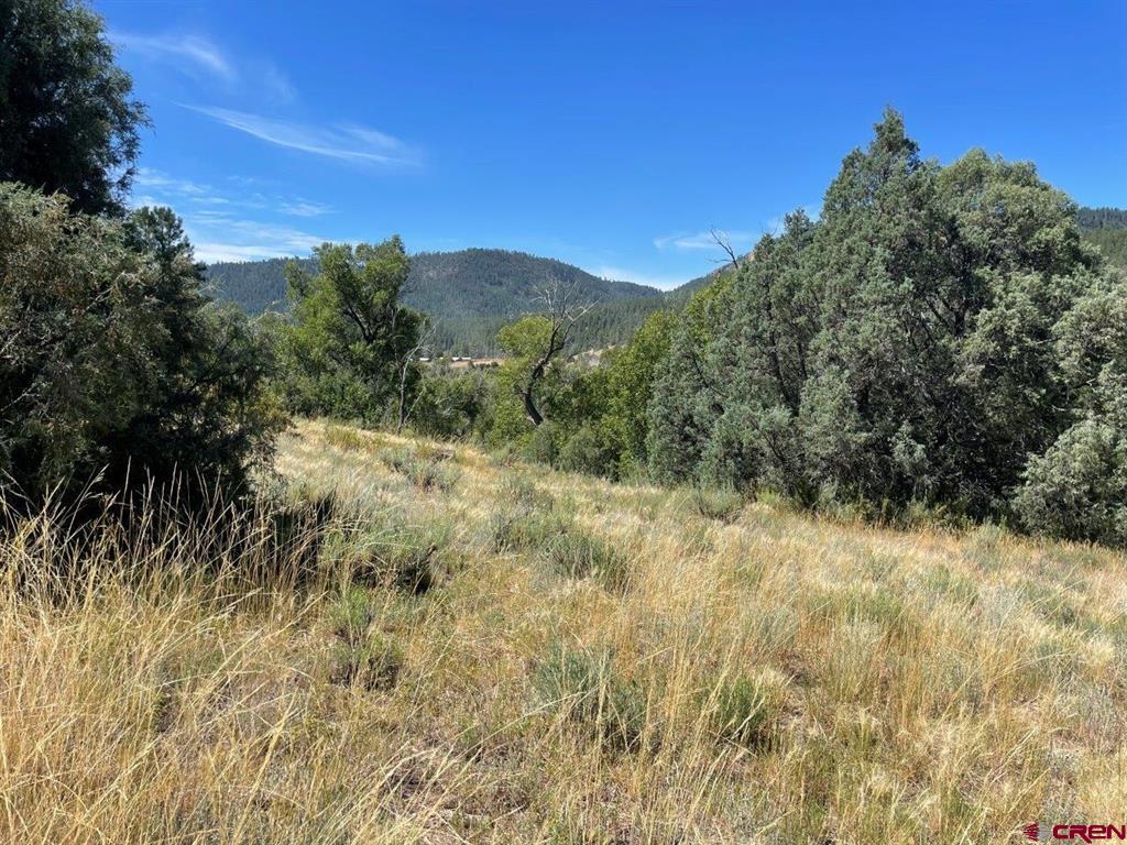 9178A Cr 500 Pagosa Springs CO 81147