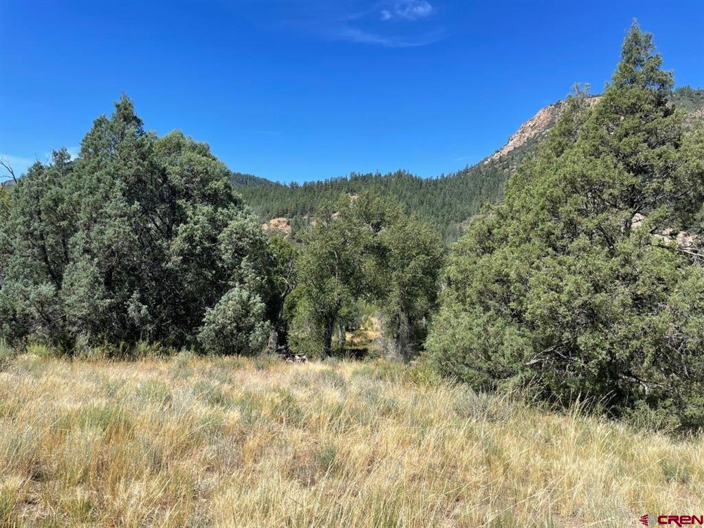 9178A Cr 500 Pagosa Springs CO 81147